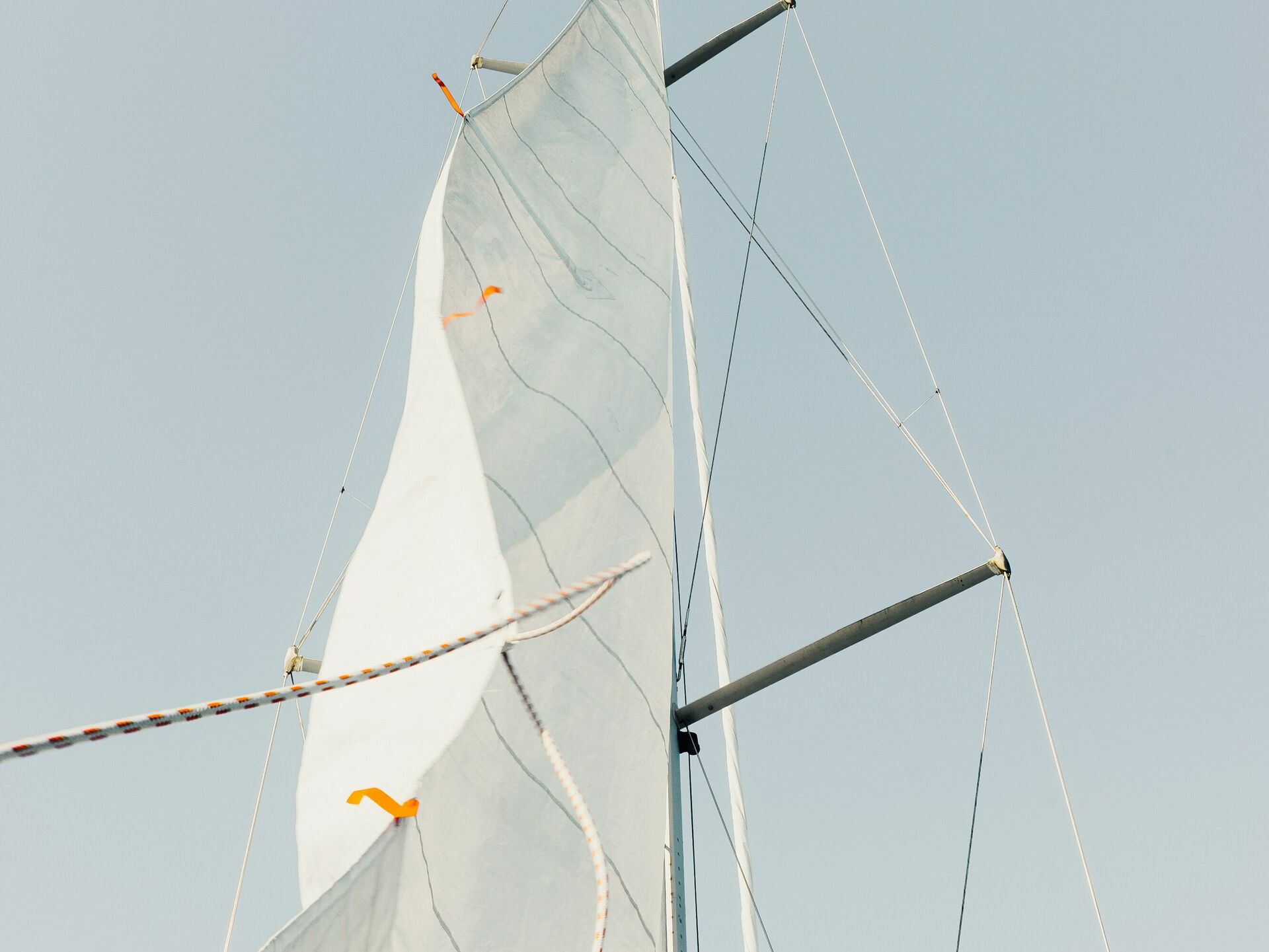 The sailmaking DNA of Procedes