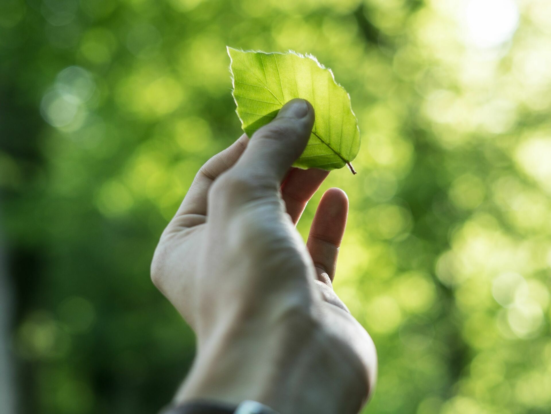 sustainability