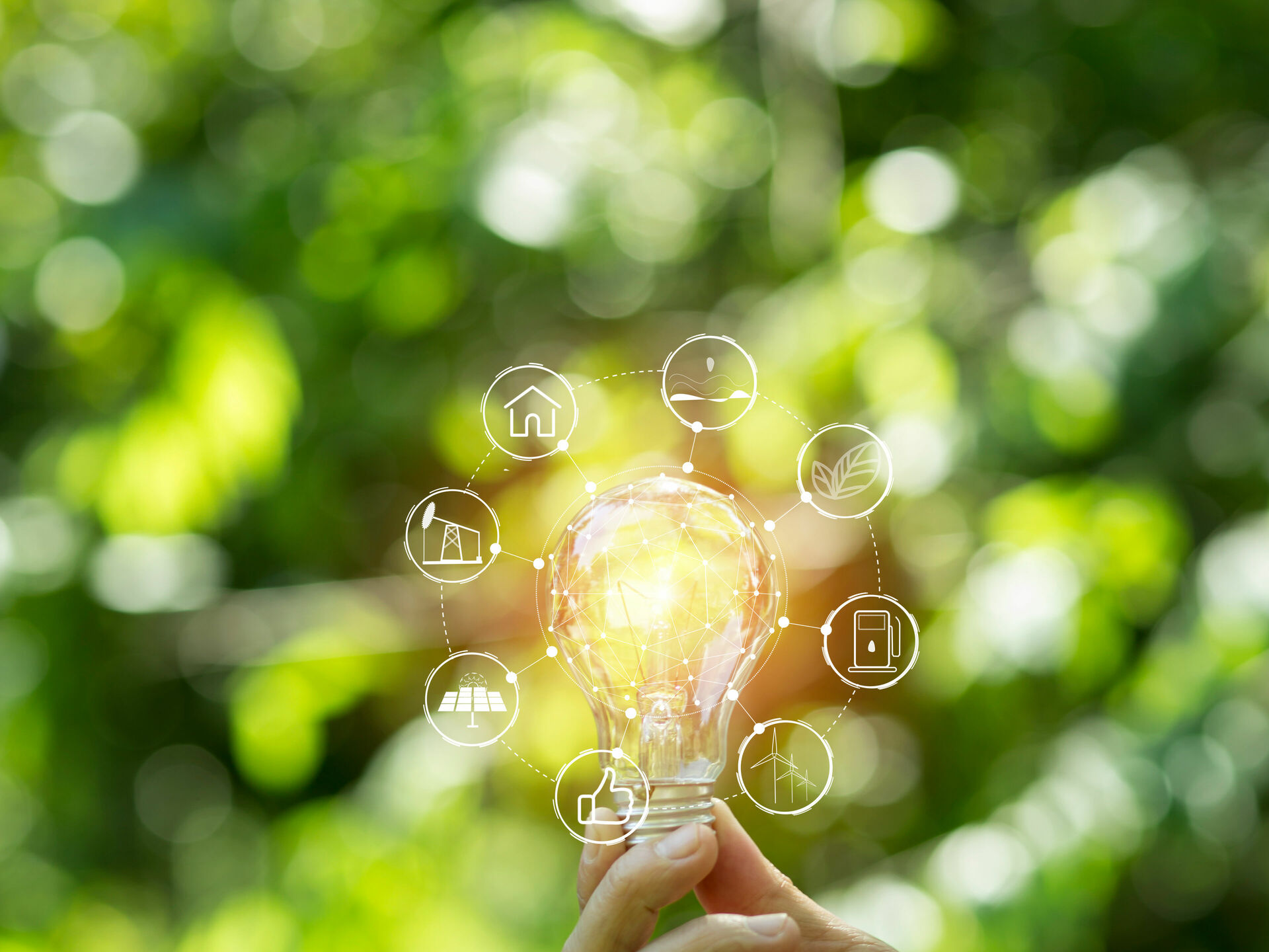 Ecological sustainability enables sustainable success